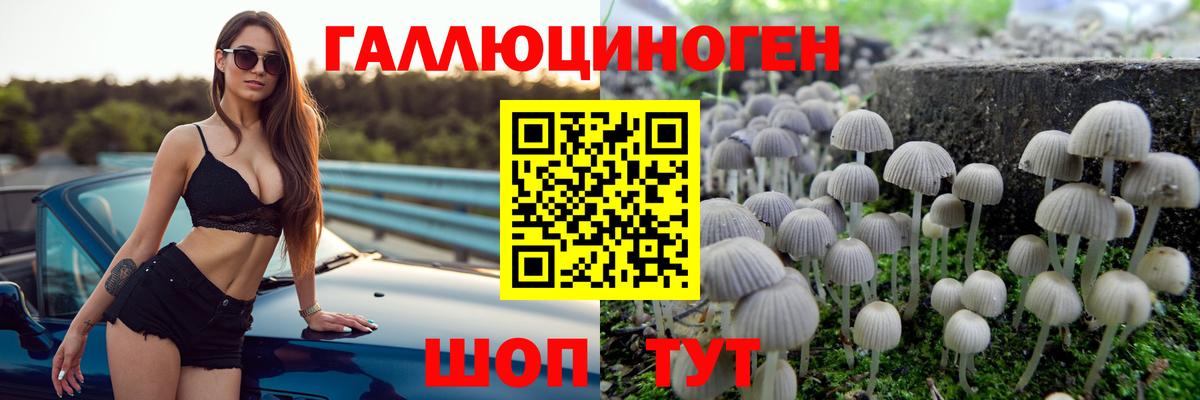 Сокол  Псилоцибиновые грибы Magic Shrooms  Вход с VPN 